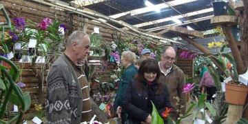 La Fiesta Nacional de la Orquídea se realiza todos los años en Montecarlo\u002E