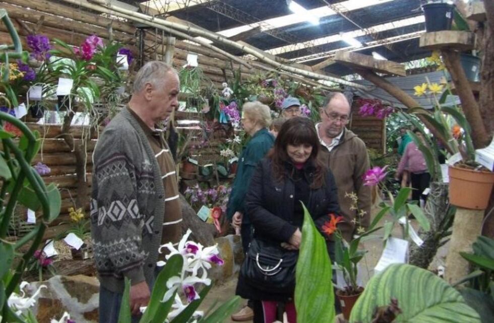El coronavirus obligó a suspender la edición 30 de la Fiesta Nacional de la Orquídea