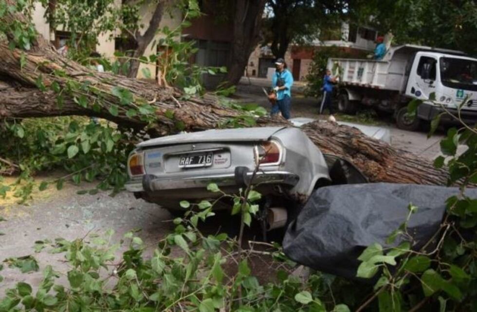 Fotogalería: Así quedó Mendoza después de la fuerte tormenta