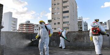 El Municipio continúa con los operativos de búsqueda activa de casos casa por casa (Municipalidad de La Plata)