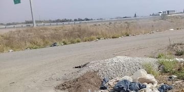 Cadáveres de perritos, tirados en Córdoba