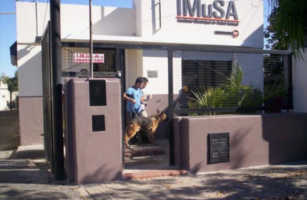 Las mascotas esterilizadas en el Imusa llevarán un tatuaje