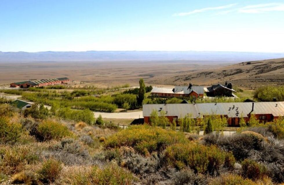 La familia Báez pidió autorización para vender 12.000 cabezas de ganado