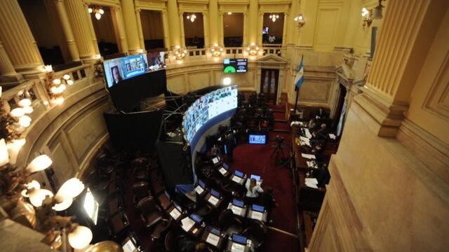 Sesión en el Senado. (Foto: Federico Lopez Claro)