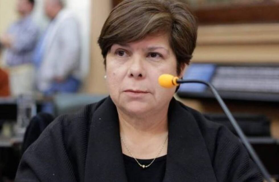 El exabrupto de una diputada salteña: “El p..., el rep... del ministro de Salud no sé qué espera”
