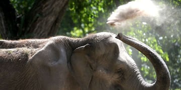 Lo sancionó este miércoles el Concejo Deliberante local (Foto: archivo)