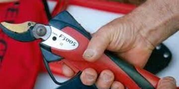 Tijera electrónica para cosechar yerba mate\u002E (WEB)