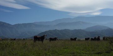 Clima en Salta, fotos de Salta (VíaSalta)