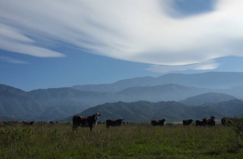 Será un jueves algo nublado y con una máxima de 26° en Salta