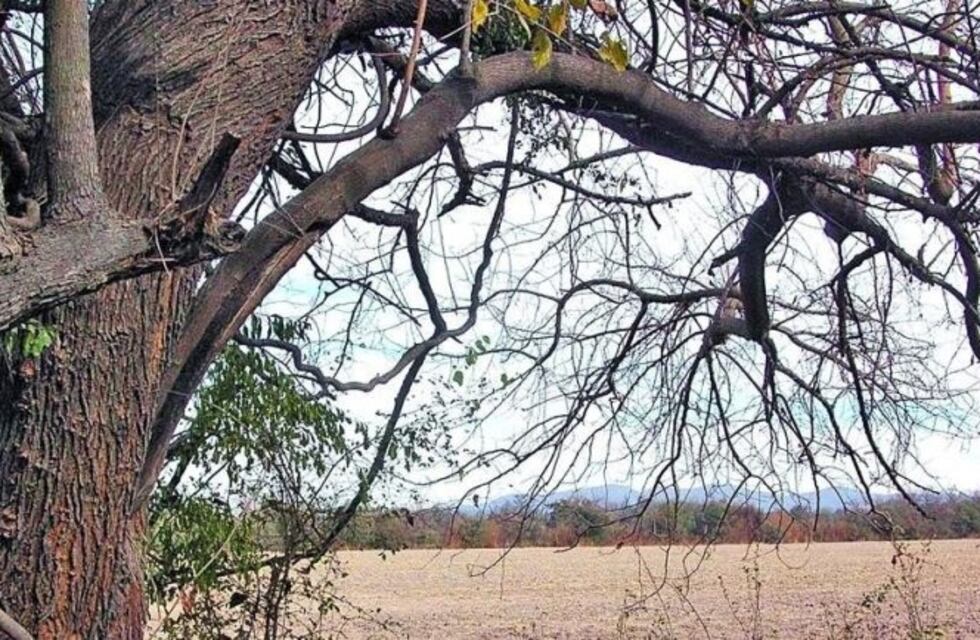 Caso Luján y Yanina: una testigo que llamó al 911 fue aprehendida