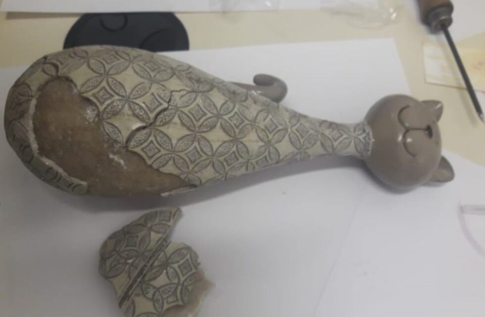 De puerta a puerta: por encomienda le mandaron más de un kilo y medio de éxtasis