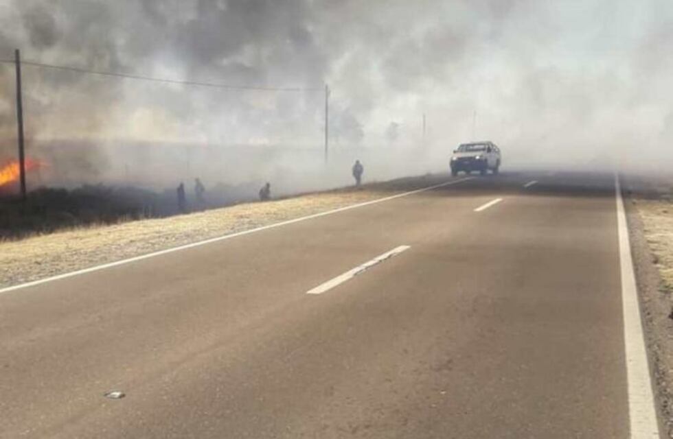 Abren más de 800 kilómetros de picadas para combatir incendios forestales