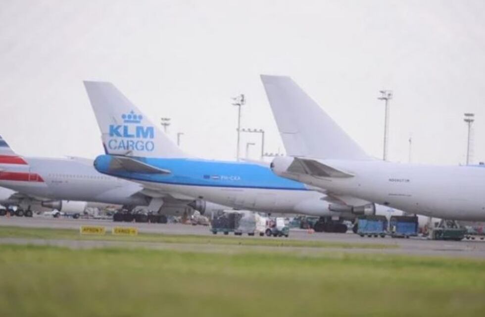 Ezeiza: así fue el operativo en el que secuestraron 82 kilos de cocaína en un avión