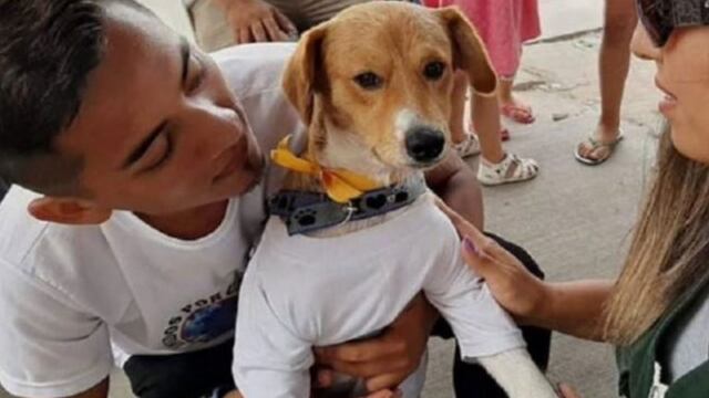 Un niño murió tras salvar a su perro de un incendio (Foto: web)