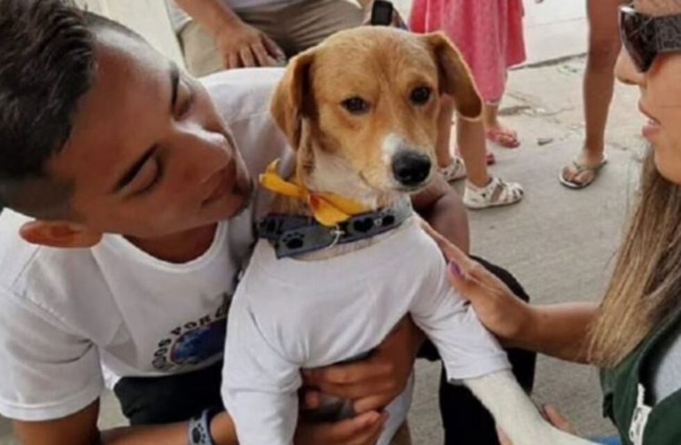 Un niño murió tras salvar a su perro de un incendio