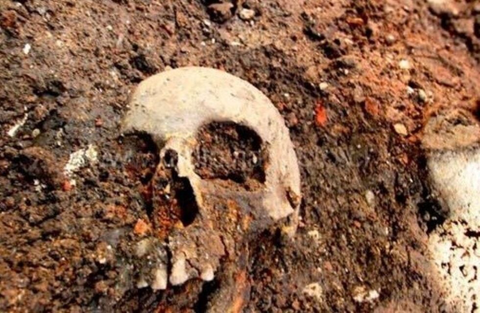 Encontraron un cráneo en una acequia de Villa Atuel