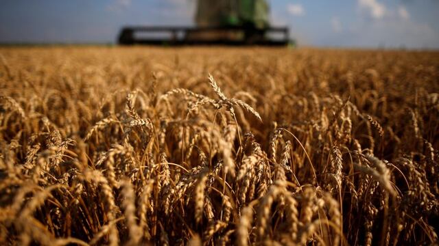 FILE PHOTO: A combine drives through a field of soft red winter wheat during the harvest on a farm in Dixon, Illinois, July 16, 2013\u002E REUTERS/Jim Young/File Photo eeuu illinois cosecha de trigo en illinois