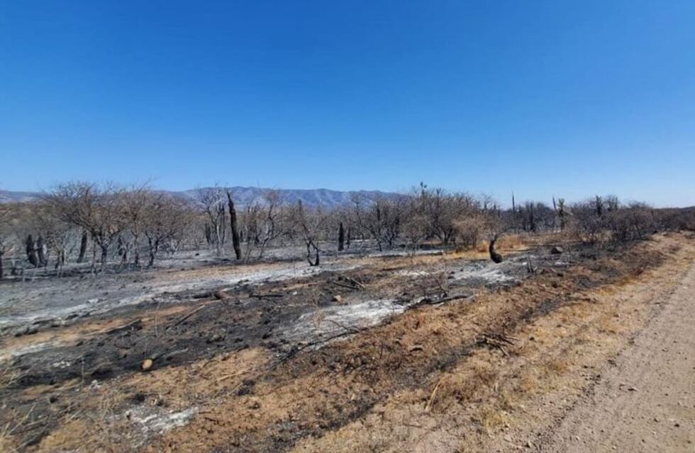 ¡Impresionante! Fotos satelitales muestran el voraz avance del fuego en las sierras cordobesas