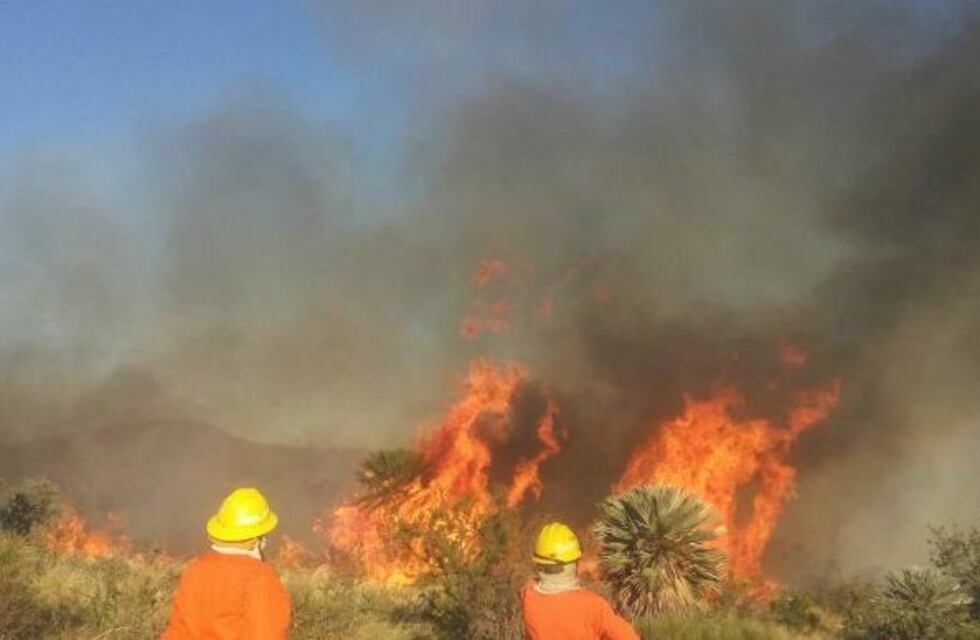 Bomberos combaten un incendio en la localidad de Las Palmas