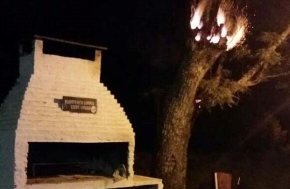 El incendio intencional de un árbol puso en riesgo el tendido eléctrico en Erézcano