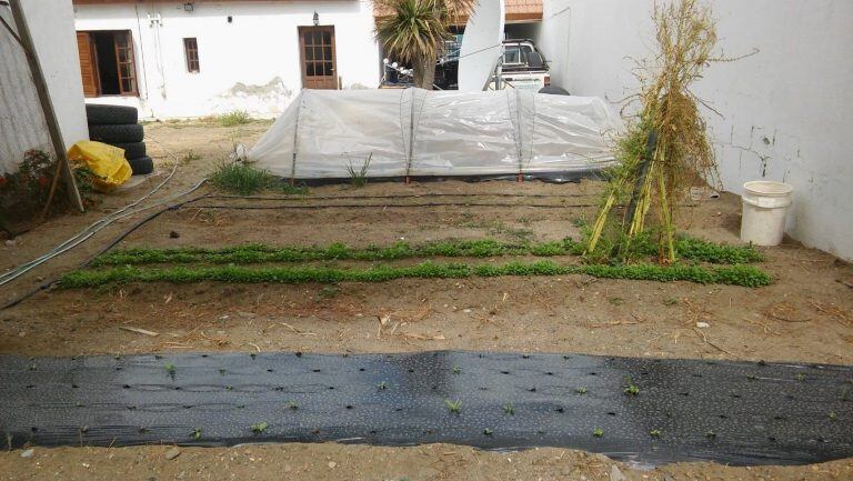 Inta huerta agroecológica