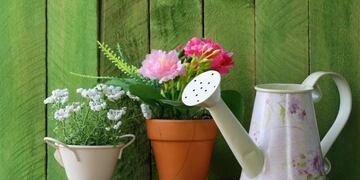 Un ramo de flores naturales