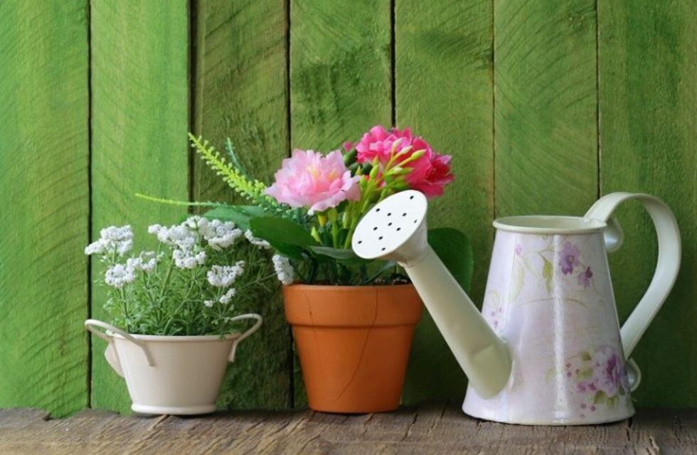 Un ramo de flores naturales