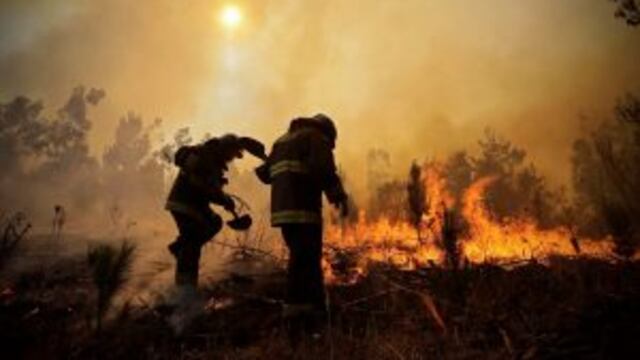 Incendios forestales Chile