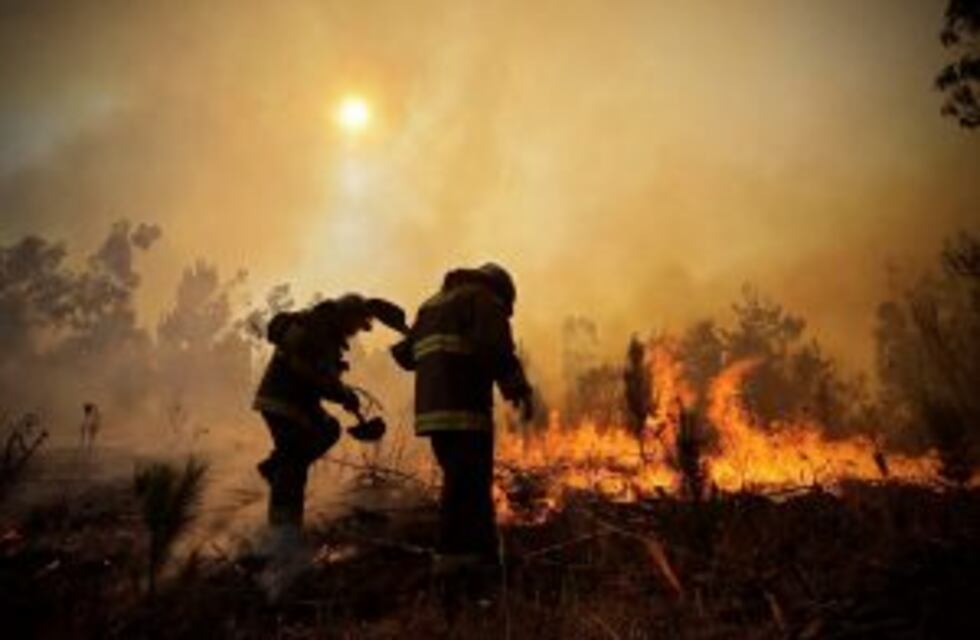 Mendoza ayudará a víctimas de los incendios forestales en Chile