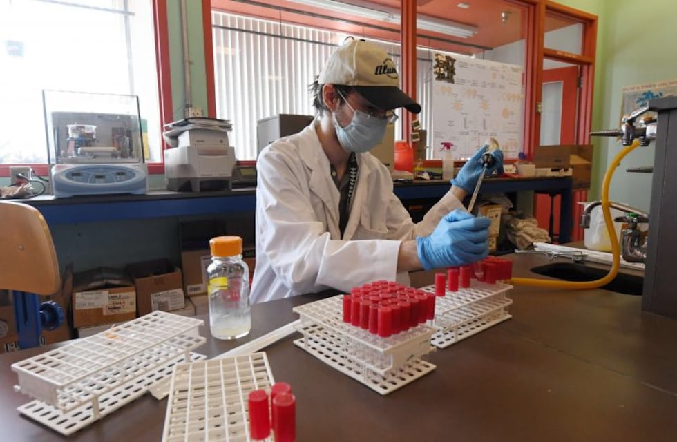 Comodoro y Rada Tilly sumaron 27 casos de coronavirus