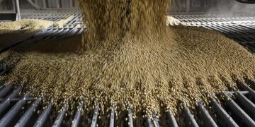 La harina y los pellets de soja fueron el principal producto embarcado en San Lorenzo\u002E (AFP)