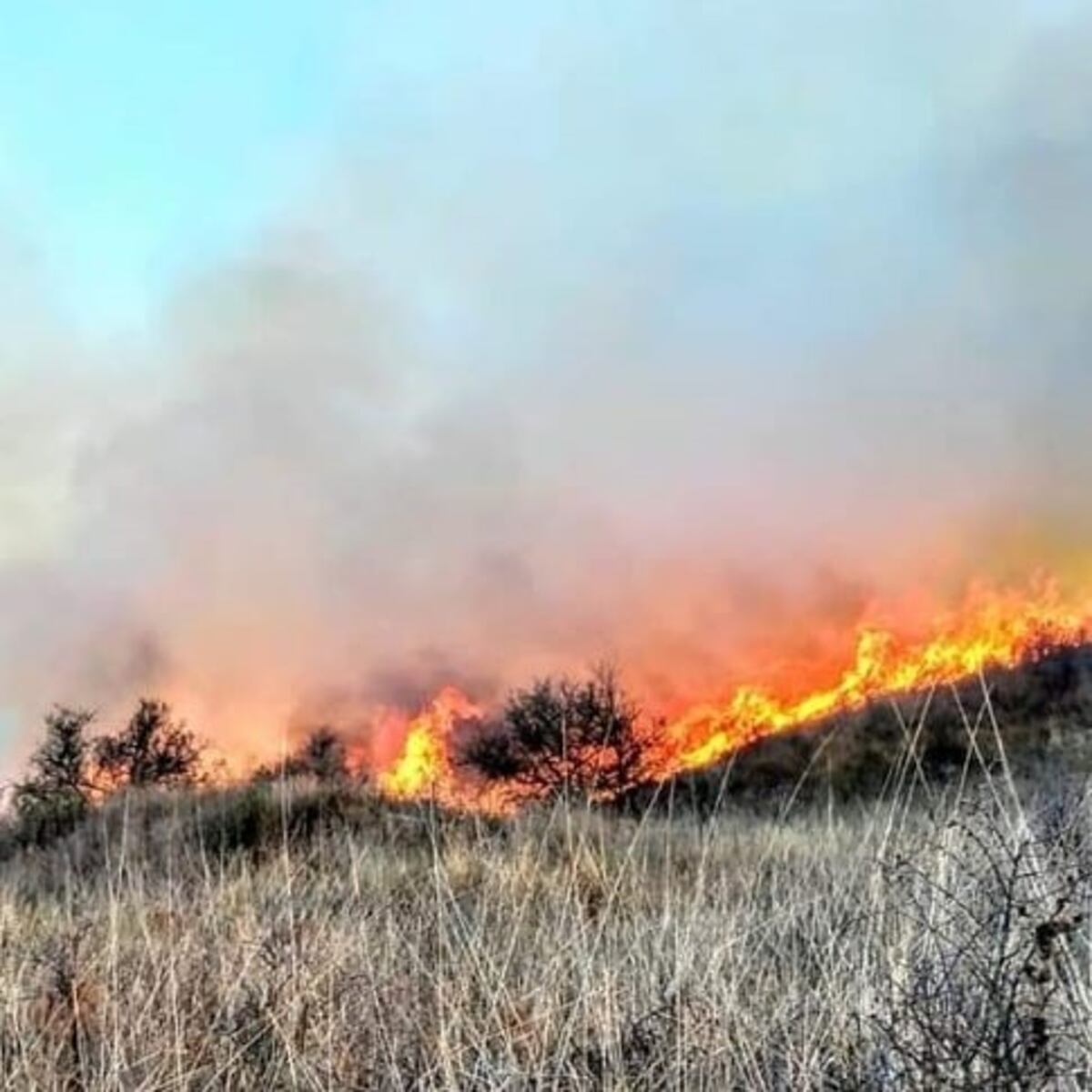Incendio forestal en Cosquín\u002E (Foto: Bomberos Voluntarios)\u002E