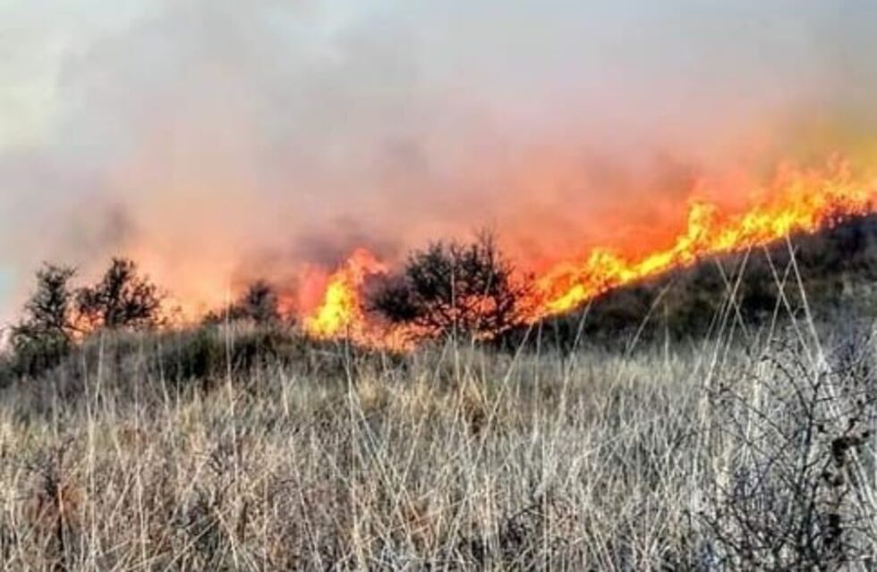 Más de 60 bomberos extinguieron un impresionante incendio forestal en Cosquín