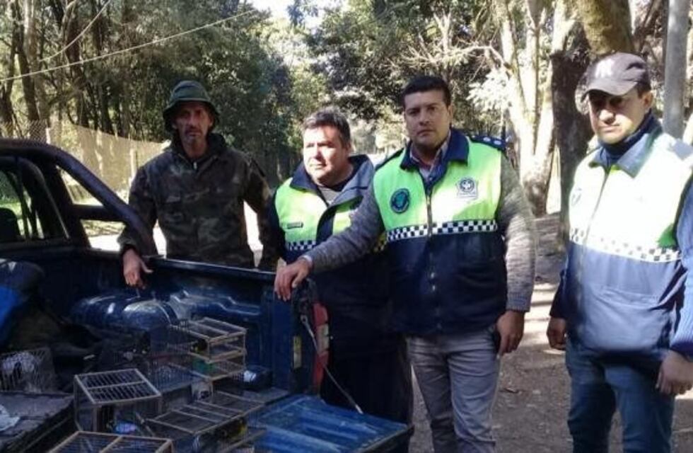 Liberaron 50 aves en el Parque Sierra de San Javier