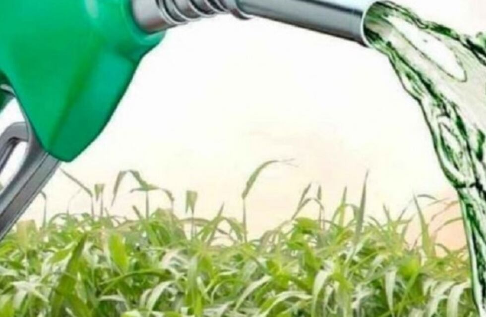 El tema del biocombustible fue analizado entre Kulfas y ministros del NOA