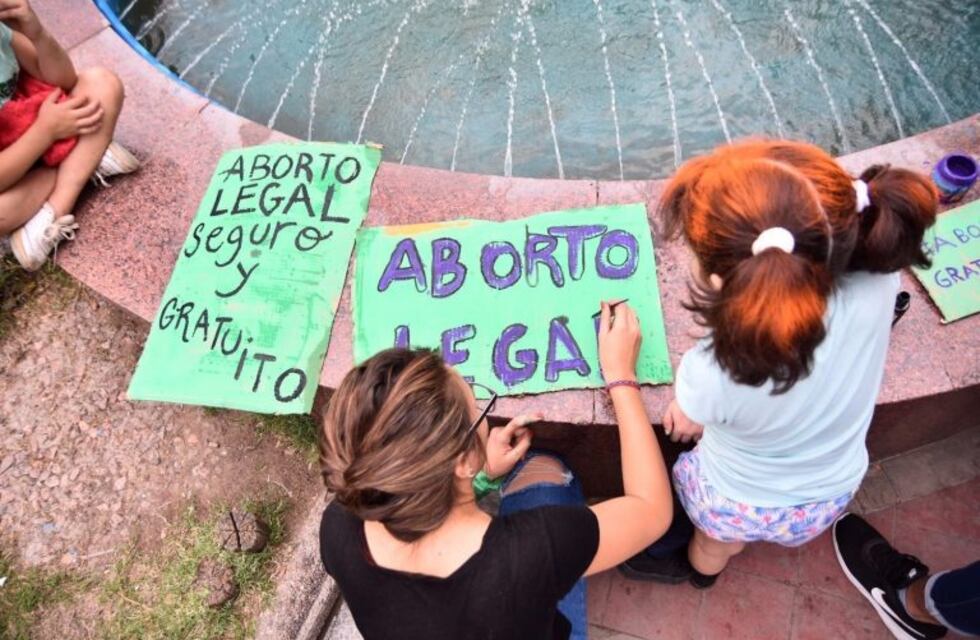 Riojana expondrá en Diputados sobre la despenalización del aborto