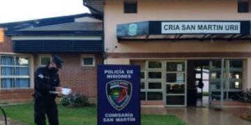 Secuestraron diversas armas de fuego en un allanamiento en la localidad de San Martín.