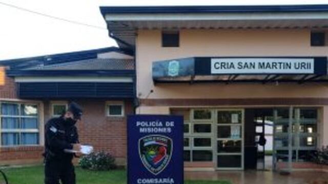Secuestraron diversas armas de fuego en un allanamiento en la localidad de San Martín.