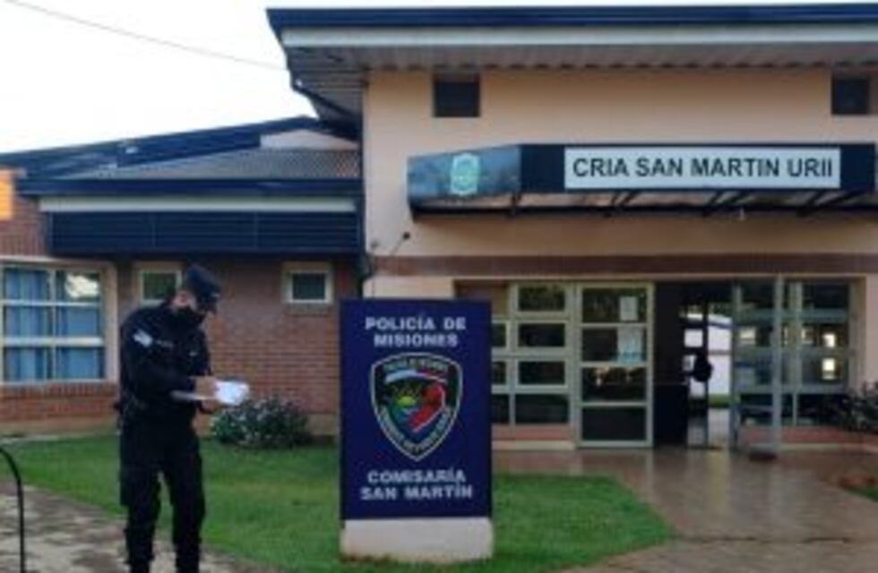 Secuestraron diversas armas de fuego en un allanamiento en la localidad de San Martín