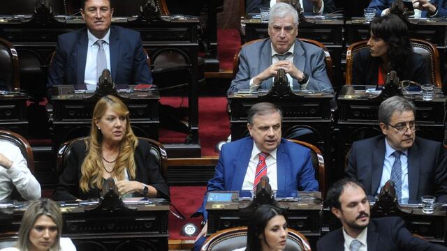 Diputados de Hacemos Coalición Federal negocian con la UCR por la "ley ómnibus" (Foto: Federico López Claro)