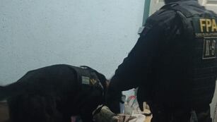 FPA DETUVO A UN DELIVERY DE COCAÍNA EN LA FALDA