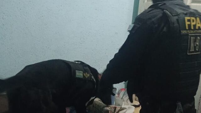 FPA DETUVO A UN DELIVERY DE COCAÍNA EN LA FALDA