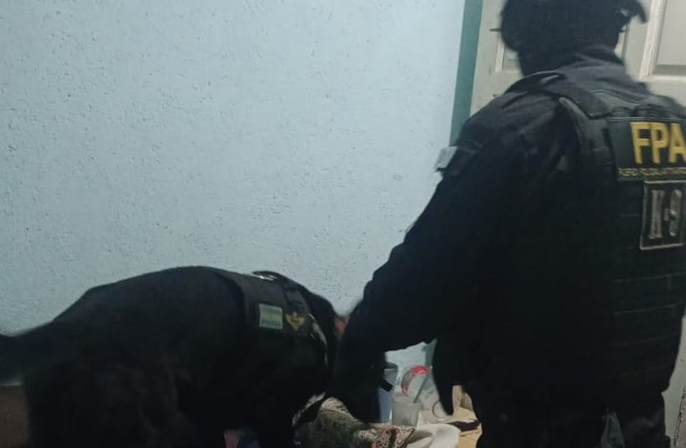 Importante operativo antidrogas en La Falda tras cuatro meses de investigación