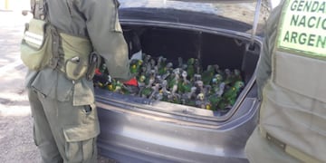Gendarmería Nacional detuvo a dos personas que trasladaban 100 loros en el baúl de un auto.