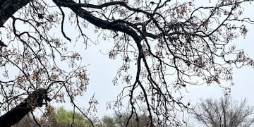 Creciente en Villa Carlos Paz. Foto de archivo