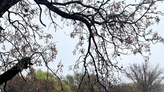 Creciente en Villa Carlos Paz. Foto de archivo