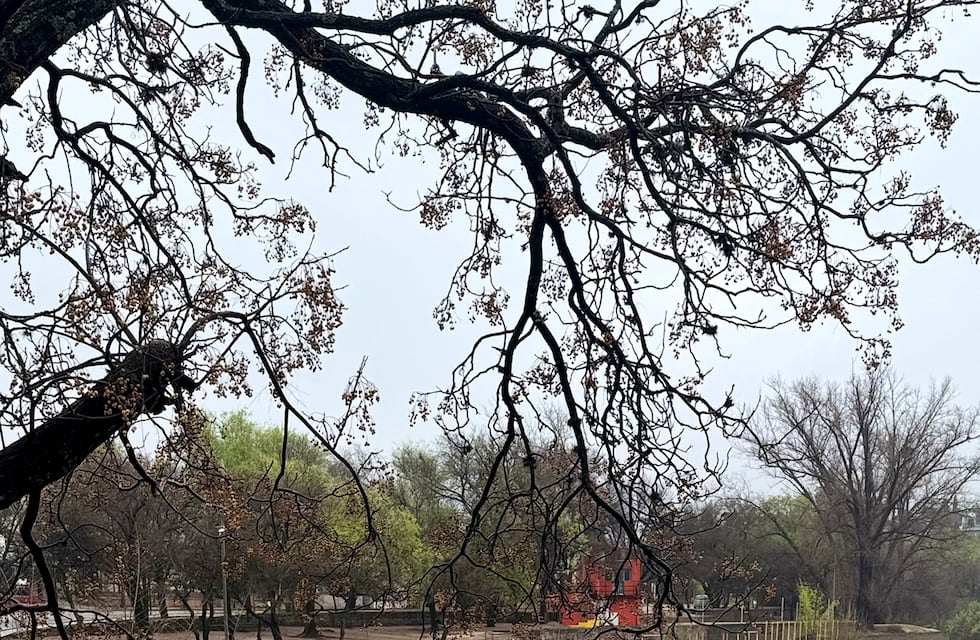 ¿Cuánto llovió?: el mapa de las precipitaciones en el Valle de Punilla