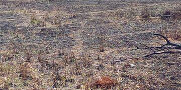 Tras el incendio de una chacra, hallaron un cráneo en el predio.