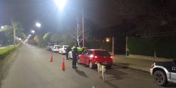 Controles viales durante el fin de semana