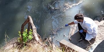 Constante revisión de los canales de Rafaela